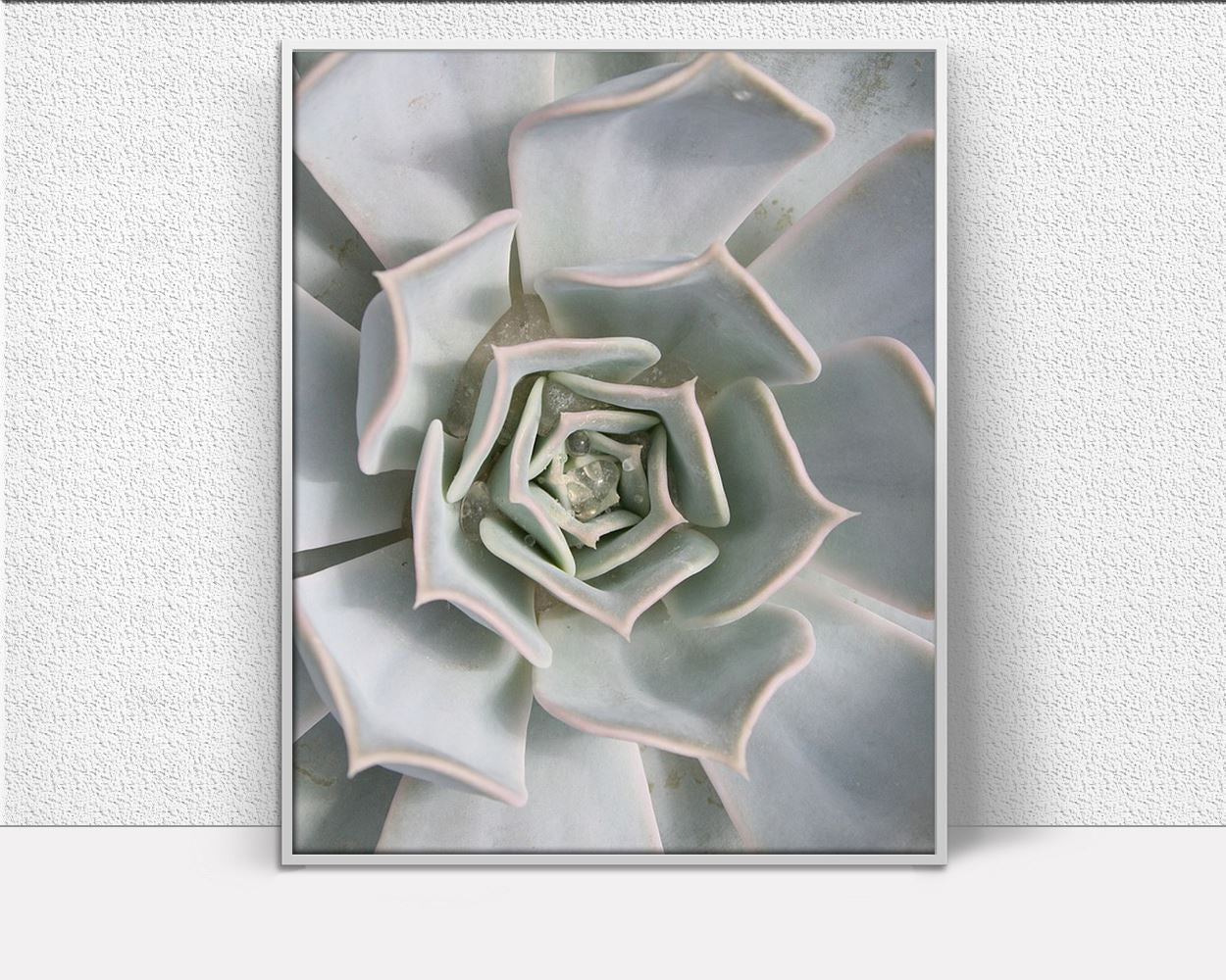 Wall Art Cactus Prints Digital Print Cactus Prints Poster Art Cactus Prints Wall Art Print Cactus Prints Succulent Art Cactus Prints Nature - Digital Download