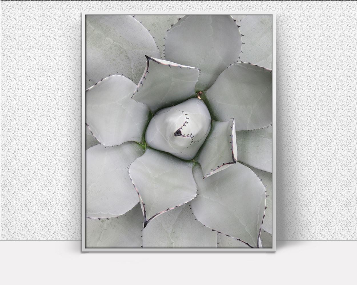 Wall Art Cactus Prints Digital Print Cactus Prints Poster Art Cactus Prints Wall Art Print Cactus Prints Succulent Art Cactus Prints Nature - Digital Download