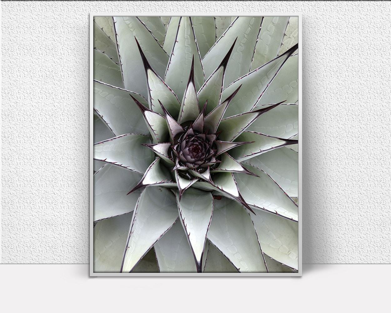 Wall Art Cactus Prints Digital Print Cactus Prints Poster Art Cactus Prints Wall Art Print Cactus Prints Succulent Art Cactus Prints Nature - Digital Download