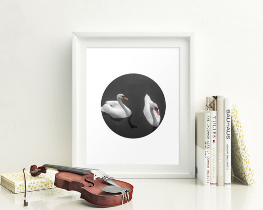 Wall Art Swan Digital Print Swan Poster Art Swan Wall Art Print Swan Living Room Art Swan Living Room Print Swan Wall Decor Swan Fine Art - Digital Download