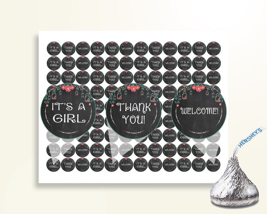 Hershey Kisses Baby Shower Hershey Kisses Chalkboard Baby Shower Hershey Kisses Baby Shower Chalkboard Hershey Kisses Black Pink party NIHJ1 - Digital Product