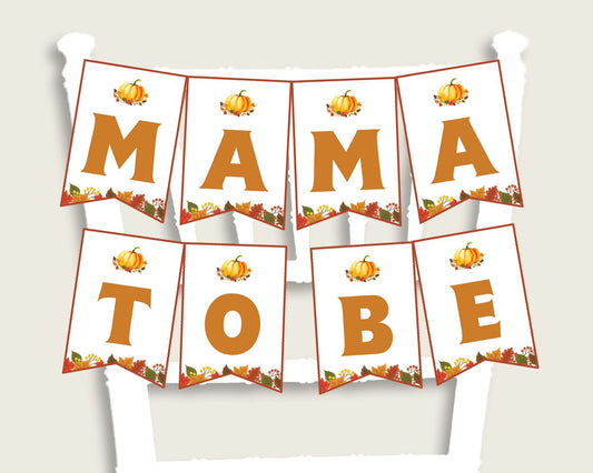 Chair Banner Baby Shower Chair Banner Fall Baby Shower Chair Banner Baby Shower Pumpkin Chair Banner Orange Brown party plan prints BPK3D - Digital Product