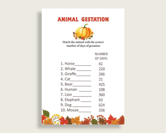 Animal Gestation Baby Shower Animal Gestation Fall Baby Shower Animal Gestation Baby Shower Pumpkin Animal Gestation Orange Brown BPK3D - Digital Product