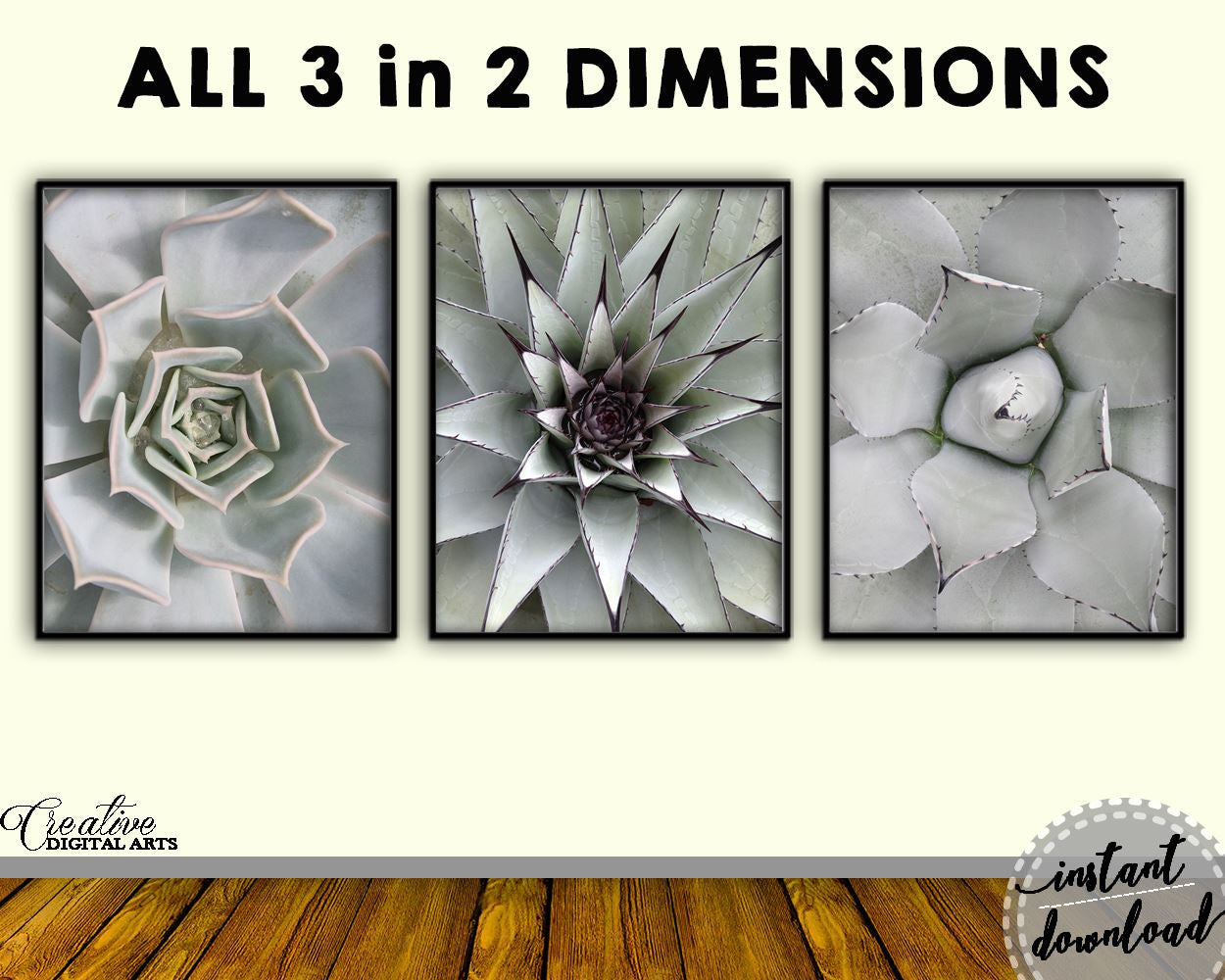 Wall Art Cactus Prints Digital Print Cactus Prints Poster Art Cactus Prints Wall Art Print Cactus Prints Succulent Art Cactus Prints Nature - Digital Download